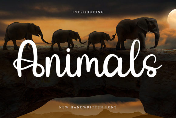 Animals Font: A Designer’s Review for Campaign Visuals
