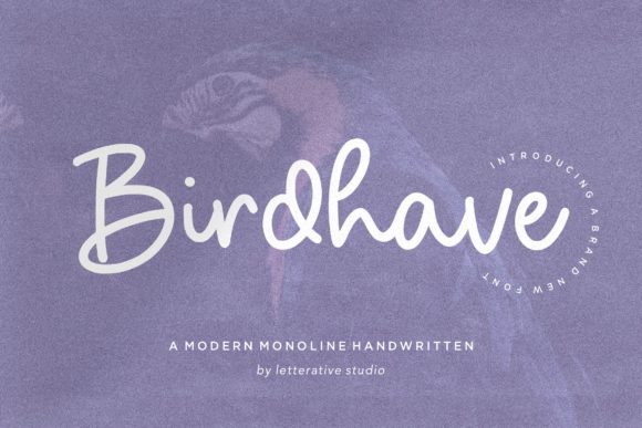 Birdhave: A Timeless Handwritten Font for Editorial Design